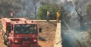 Turkey: Trees affected badly from fire